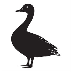 silhouette of a duck,bird, swan, animal, duck, goose, illustration, vector, silhouette, nature, cartoon, water, beak, icon, black, wild, lake, drawing, wildlife, birds, design, feather, love, art, sym