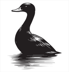 silhouette of a duck,bird, swan, animal, duck, goose, illustration, vector, silhouette, nature, cartoon, water, beak, icon, black, wild, lake, drawing, wildlife, birds, design, feather, love, art, sym