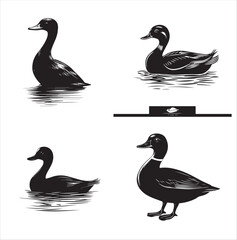 silhouette of a duck,bird, swan, animal, duck, goose, illustration, vector, silhouette, nature, cartoon, water, beak, icon, black, wild, lake, drawing, wildlife, birds, design, feather, love, art, sym