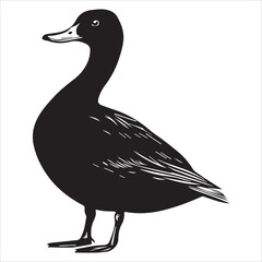 silhouette of a duck,bird, swan, animal, duck, goose, illustration, vector, silhouette, nature, cartoon, water, beak, icon, black, wild, lake, drawing, wildlife, birds, design, feather, love, art, sym