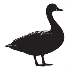 silhouette of a duck,bird, swan, animal, duck, goose, illustration, vector, silhouette, nature, cartoon, water, beak, icon, black, wild, lake, drawing, wildlife, birds, design, feather, love, art, sym