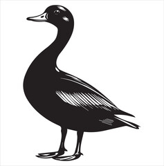silhouette of a duck,bird, swan, animal, duck, goose, illustration, vector, silhouette, nature, cartoon, water, beak, icon, black, wild, lake, drawing, wildlife, birds, design, feather, love, art, sym