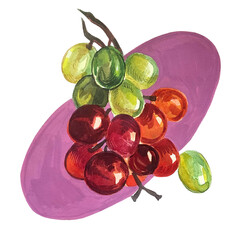 bunch of grapes watercolor