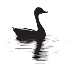 silhouette of a duck,bird, swan, animal, duck, goose, illustration, vector, silhouette, nature, cartoon, water, beak, icon, black, wild, lake, drawing, wildlife, birds, design, feather, love, art, sym