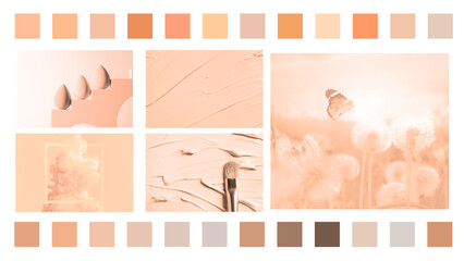 Peach fuzz color themed collage on white background