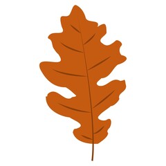 Obraz premium Autumn Leaves. Set of autumn leaves from different trees, oak, maple, chestnut. Simple, yellow, red, orange fall leaf set for pattern, banner, sticker, Hello autumn card. Flat vector illustration on w