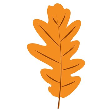 recommend clip art: Autumn Leaves. Set of autumn leaves from different trees, oak, maple, chestnut. Simple, yellow, red, orange fall leaf set for pattern, banner, sticker, Hello autumn card. Flat vector illustration on w