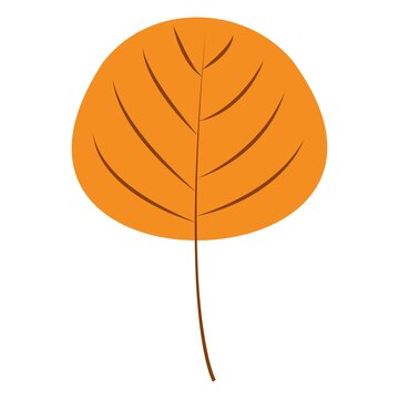 recommend clip art: Autumn Leaves. Set of autumn leaves from different trees, oak, maple, chestnut. Simple, yellow, red, orange fall leaf set for pattern, banner, sticker, Hello autumn card. Flat vector illustration on w