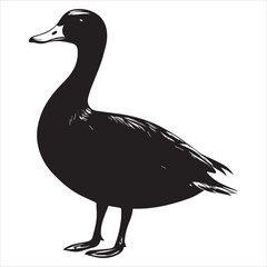silhouette of a duck,bird, swan, animal, duck, goose, illustration, vector, silhouette, nature, cartoon, water, beak, icon, black, wild, lake, drawing, wildlife, birds, design, feather, love, art, sym