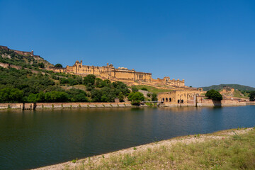 Fototapeta premium the majestic Amber Fort in Jaipur, Rajasthan, overlooking Maota Lake. The fort’s golden-yellow sandstone facade stands out against the lush greenery and clear blue sky.