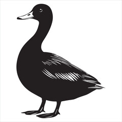 silhouette of a duck,bird, swan, animal, duck, goose, illustration, vector, silhouette, nature, cartoon, water, beak, icon, black, wild, lake, drawing, wildlife, birds, design, feather, love, art, sym