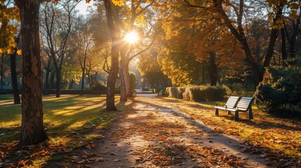 Fototapeta premium A park with a bench and trees in autumn