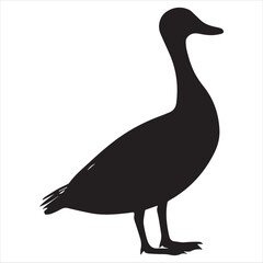 silhouette of a duck,bird, swan, animal, duck, goose, illustration, vector, silhouette, nature, cartoon, water, beak, icon, black, wild, lake, drawing, wildlife, birds, design, feather, love, art, sym