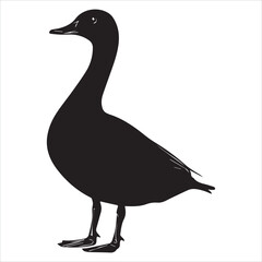 silhouette of a duck,bird, swan, animal, duck, goose, illustration, vector, silhouette, nature, cartoon, water, beak, icon, black, wild, lake, drawing, wildlife, birds, design, feather, love, art, sym