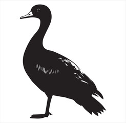 silhouette of a duck,bird, swan, animal, duck, goose, illustration, vector, silhouette, nature, cartoon, water, beak, icon, black, wild, lake, drawing, wildlife, birds, design, feather, love, art, sym