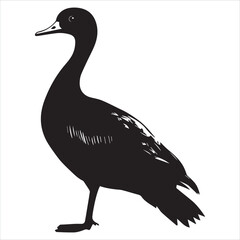 silhouette of a duck,bird, swan, animal, duck, goose, illustration, vector, silhouette, nature, cartoon, water, beak, icon, black, wild, lake, drawing, wildlife, birds, design, feather, love, art, sym
