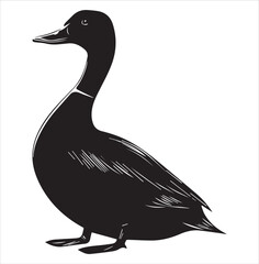 silhouette of a duck,bird, swan, animal, duck, goose, illustration, vector, silhouette, nature, cartoon, water, beak, icon, black, wild, lake, drawing, wildlife, birds, design, feather, love, art, sym