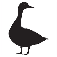 silhouette of a duck,bird, swan, animal, duck, goose, illustration, vector, silhouette, nature, cartoon, water, beak, icon, black, wild, lake, drawing, wildlife, birds, design, feather, love, art, sym