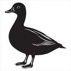 silhouette of a duck,bird, swan, animal, duck, goose, illustration, vector, silhouette, nature, cartoon, water, beak, icon, black, wild, lake, drawing, wildlife, birds, design, feather, love, art, sym