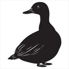 silhouette of a duck,bird, swan, animal, duck, goose, illustration, vector, silhouette, nature, cartoon, water, beak, icon, black, wild, lake, drawing, wildlife, birds, design, feather, love, art, sym