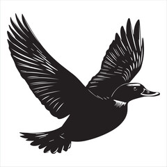 silhouette of a duck,bird, swan, animal, duck, goose, illustration, vector, silhouette, nature, cartoon, water, beak, icon, black, wild, lake, drawing, wildlife, birds, design, feather, love, art, sym