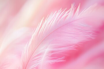 Stunning abstract pattern featuring white, orange, and pink feathers on a dark background