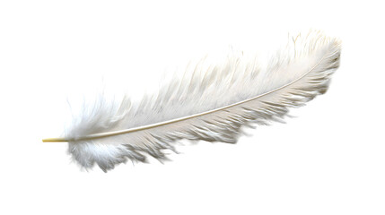 Delicate white feather floating on a clean,minimalist studio background. The soft,fluffy plume...