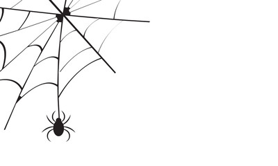 Halloween party background with spider hanging from spiderwebs isolated on black  texture, blank space for text, element template for poster, brochures,online advertising, isolated on white background