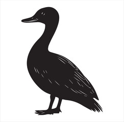 silhouette of a duck,bird, swan, animal, duck, goose, illustration, vector, silhouette, nature, cartoon, water, beak, icon, black, wild, lake, drawing, wildlife, birds, design, feather, love, art, sym