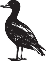 silhouette of a duck,bird, swan, animal, duck, goose, illustration, vector, silhouette, nature, cartoon, water, beak, icon, black, wild, lake, drawing, wildlife, birds, design, feather, love, art, sym