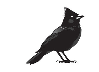 Obraz premium silhouettes of birds, bird, silhouette, animal, nature, illustration, vector, birds, crow, black, isolated, beak, bullfinch, branch, wildlife, white, wing, raven, feather, winter, cartoon, art, fly, 