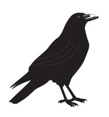silhouettes of birds, bird, silhouette, animal, nature, illustration, vector, birds, crow, black, isolated, beak, bullfinch, branch, wildlife, white, wing, raven, feather, winter, cartoon, art, fly, 