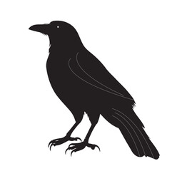 silhouettes of birds, bird, silhouette, animal, nature, illustration, vector, birds, crow, black, isolated, beak, bullfinch, branch, wildlife, white, wing, raven, feather, winter, cartoon, art, fly, 