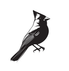 silhouettes of birds, bird, silhouette, animal, nature, illustration, vector, birds, crow, black, isolated, beak, bullfinch, branch, wildlife, white, wing, raven, feather, winter, cartoon, art, fly, 