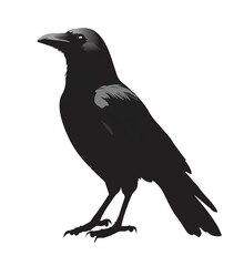 silhouettes of birds, bird, silhouette, animal, nature, illustration, vector, birds, crow, black, isolated, beak, bullfinch, branch, wildlife, white, wing, raven, feather, winter, cartoon, art, fly, 