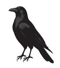 silhouettes of birds, bird, silhouette, animal, nature, illustration, vector, birds, crow, black, isolated, beak, bullfinch, branch, wildlife, white, wing, raven, feather, winter, cartoon, art, fly, 