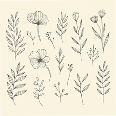 Hand drawn lineart Minimal Flower
