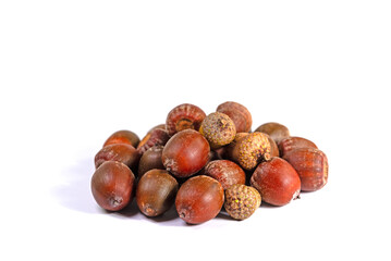 Früchte der Sumpf-Eiche vor weißem Hintergrund