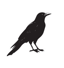 silhouettes of birds, bird, silhouette, animal, nature, illustration, vector, birds, crow, black, isolated, beak, bullfinch, branch, wildlife, white, wing, raven, feather, winter, cartoon, art, fly, 