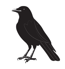 silhouettes of birds, bird, silhouette, animal, nature, illustration, vector, birds, crow, black, isolated, beak, bullfinch, branch, wildlife, white, wing, raven, feather, winter, cartoon, art, fly, 