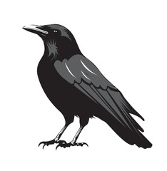 silhouettes of birds, bird, silhouette, animal, nature, illustration, vector, birds, crow, black, isolated, beak, bullfinch, branch, wildlife, white, wing, raven, feather, winter, cartoon, art, fly, 