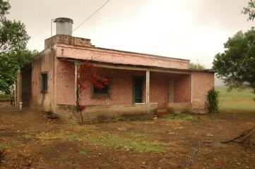 Obraz premium Wheat crops in northern Argentina