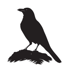 silhouettes of birds, bird, silhouette, animal, nature, illustration, vector, birds, crow, black, isolated, beak, bullfinch, branch, wildlife, white, wing, raven, feather, winter, cartoon, art, fly, 
