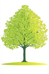 Ginkgo Tree with Fanshaped Leaves