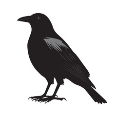 silhouettes of birds,bird, silhouette, animal, nature, illustration, vector, birds, crow, black, isolated, beak, bullfinch, branch, wildlife, white, wing, raven, feather, winter, cartoon, art, fly, tr