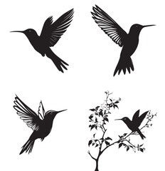 silhouettes of birds,bird, silhouette, animal, nature, illustration, vector, birds, crow, black, isolated, beak, bullfinch, branch, wildlife, white, wing, raven, feather, winter, cartoon, art, fly, tr