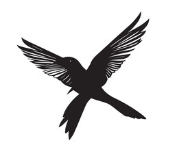 silhouettes of birds,bird, silhouette, animal, nature, illustration, vector, birds, crow, black, isolated, beak, bullfinch, branch, wildlife, white, wing, raven, feather, winter, cartoon, art, fly, tr