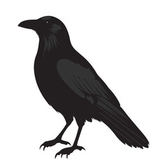 silhouettes of birds,bird, silhouette, animal, nature, illustration, vector, birds, crow, black, isolated, beak, bullfinch, branch, wildlife, white, wing, raven, feather, winter, cartoon, art, fly, tr