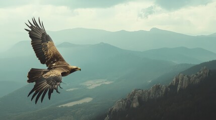 The golden eagle glides effortlessly through the air, displaying its impressive wingspan against the backdrop of distant mountains and a moody sky