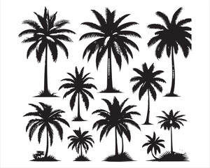 Summer Vector Palm Design Art 